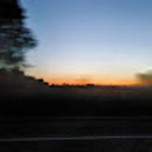 Meet your Posher, Lily